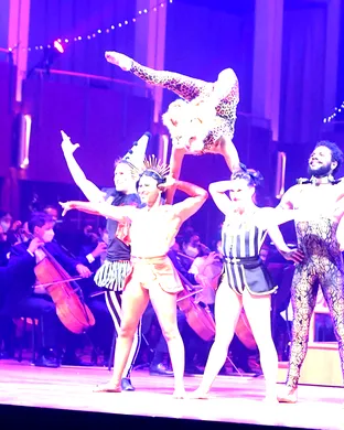 Troupe Vertigo