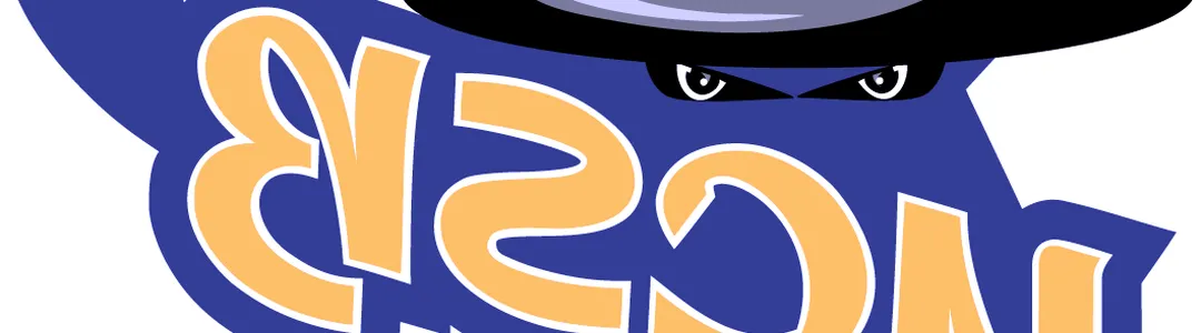 UC Santa Barbara Gauchos  