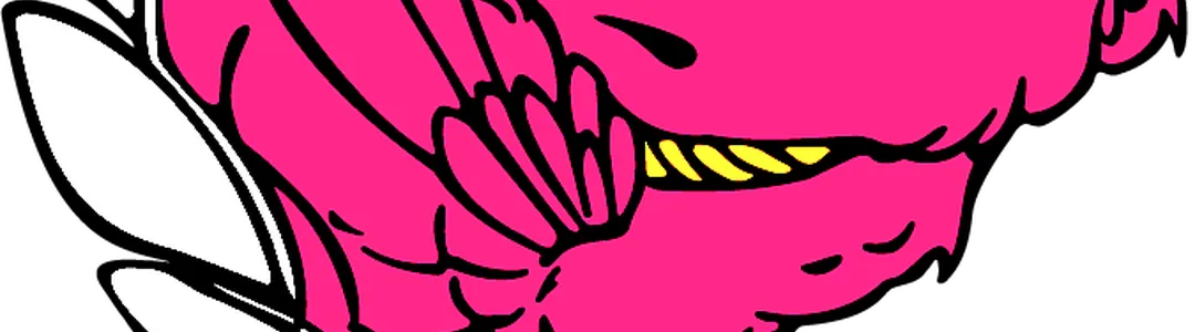 Virginia Tech Hokies