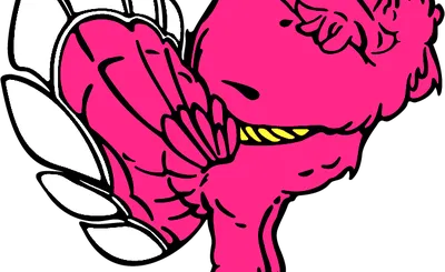 Virginia Tech Hokies