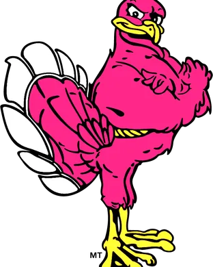 Virginia Tech Hokies vs. Georgia Tech Yellow Jackets