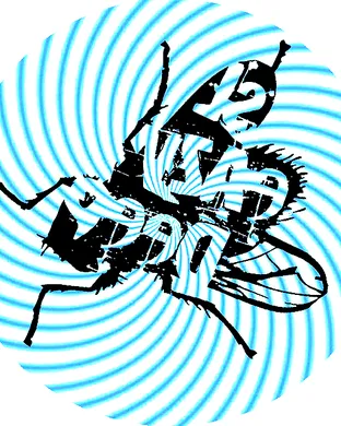 Will Clarke Los Angeles