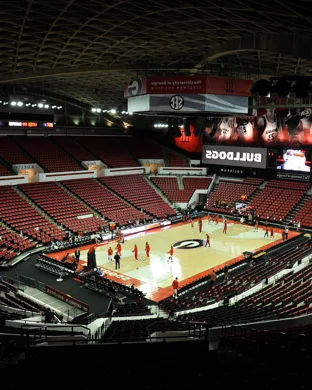 Florida Atlantic Owls Basketball