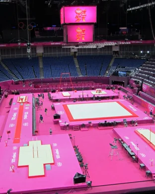 Utah Utes Gymnastics