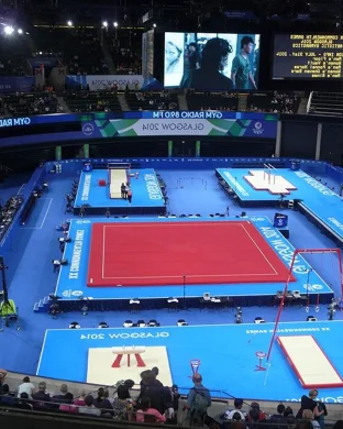 Ohio State Buckeyes Women's Gymnastics