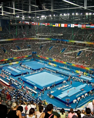 Maryland Lady Terrapins Gymnastics