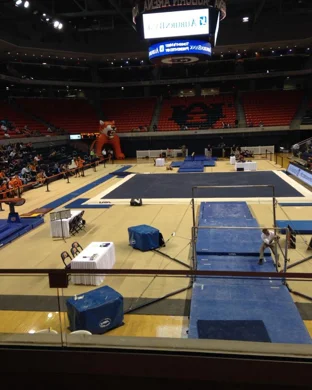 UCLA Bruins Women's Gymnastics