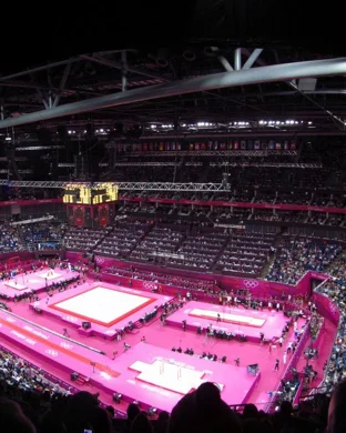 UCLA Bruins Gymnastics