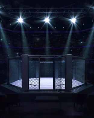 Ronda Rousey vs. Gina Carano