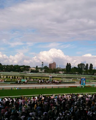 Live Racing at Santa Anita Park