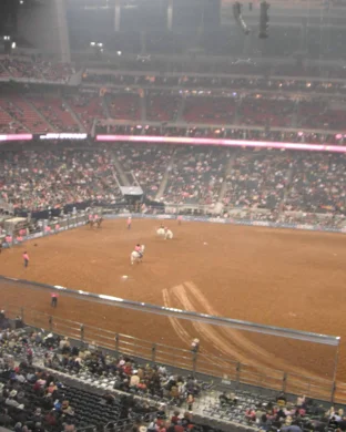 Fall Rodeo