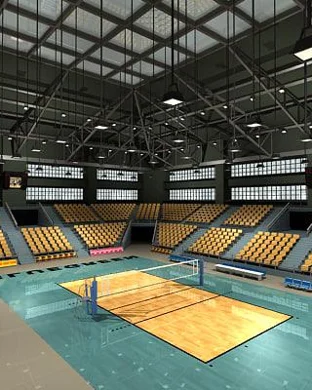 UCLA Bruins Volleyball