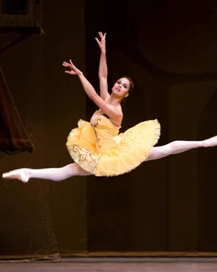 Ballet Des Petites Etoiles