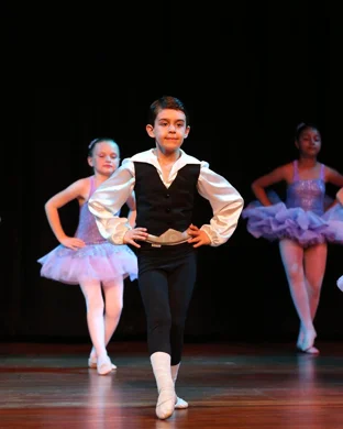 Conference of the Birds